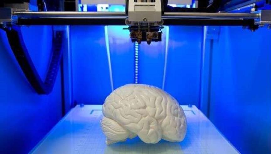 фото напечатанного мозга из силикона