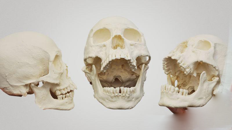 /image/data/products/materials/smooth_on/smooth_on_smooth_cast_310/smooth_on_smooth_cast_310_1.jpg