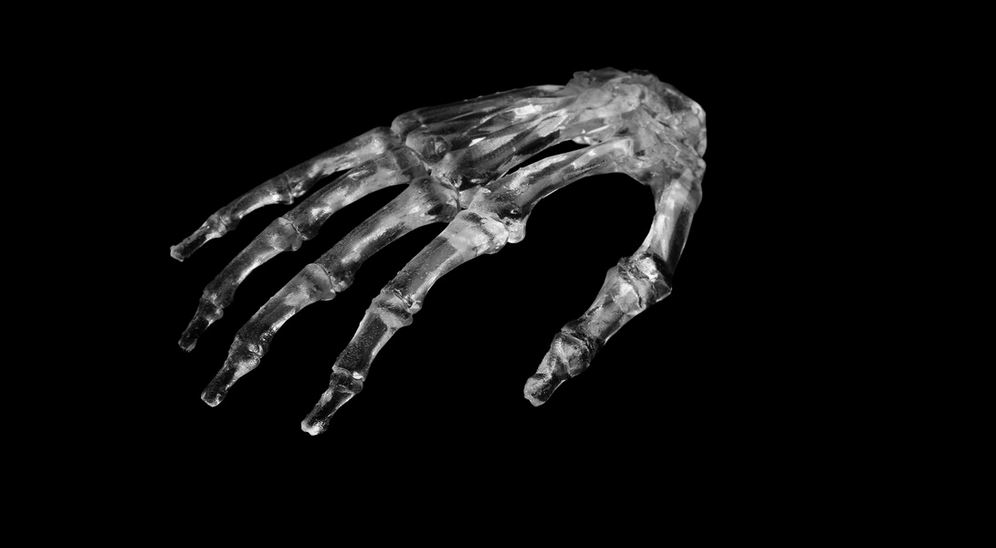 Скелет, кисть, 3D принтер UnionTech Pilot SD
